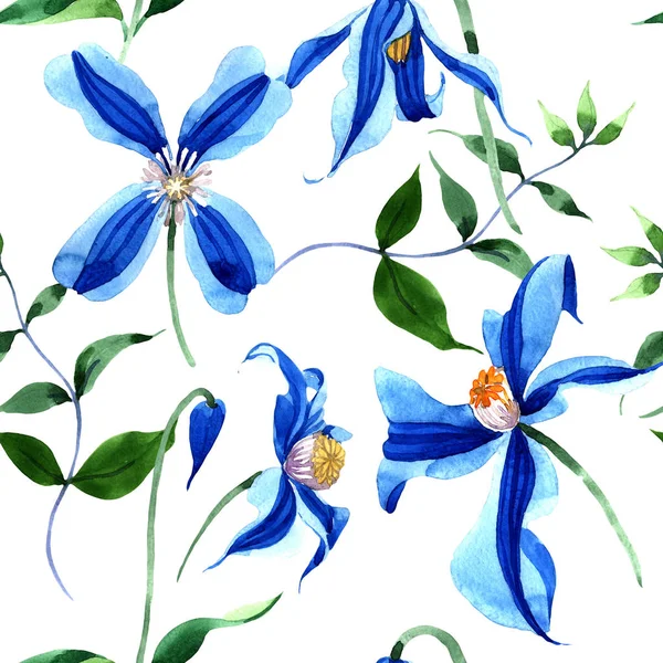 Блакитний Дюрандій Клематис Квіткова Ботанічна Квітка Безшовний Візерунок Тла Тканинні — стокове фото
