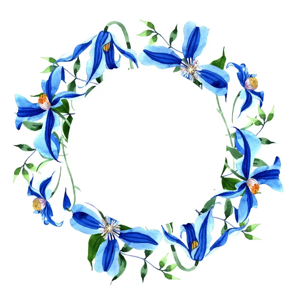 Blue Durandii Clematis Flor Botánica Floral Marco Borde Ornamento Square — Foto de Stock
