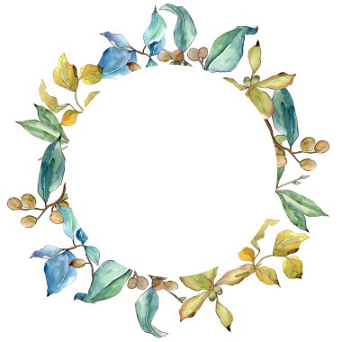 İğde suluboya tarzında bırakır. Çerçeve kenarlığı süsleme Meydanı. Aquarelle yaprak için arka plan, doku, sarıcı desen, çerçeve veya kenarlık.