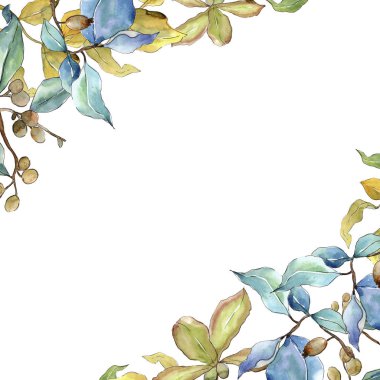 İğde suluboya tarzında bırakır. Çerçeve kenarlığı süsleme Meydanı. Aquarelle yaprak için arka plan, doku, sarıcı desen, çerçeve veya kenarlık.