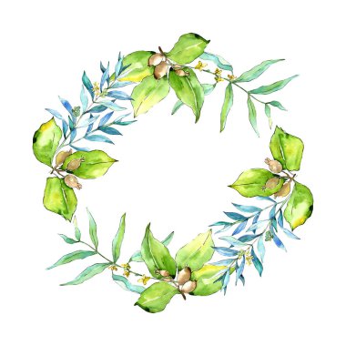 İğde suluboya tarzında bırakır. Çerçeve kenarlığı süsleme Meydanı. Aquarelle yaprak için arka plan, doku, sarıcı desen, çerçeve veya kenarlık.