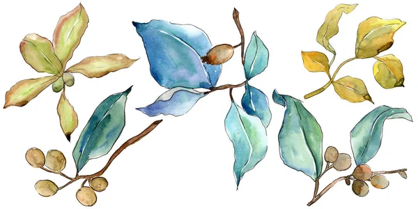 Elaeagnus Laat Een Aquarel Stijl Geïsoleerd Aquarelle Blad Voor Achtergrond — Stockfoto