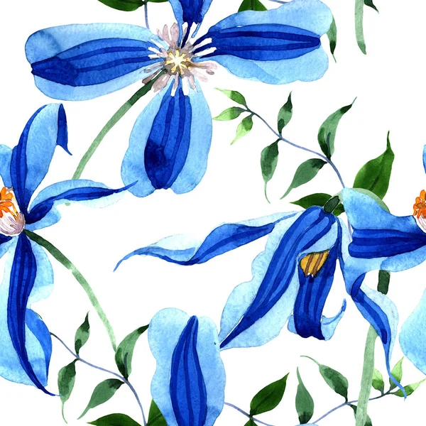 Blue Durandii Clematis Flor Botánica Floral Patrón Fondo Sin Costuras — Foto de Stock