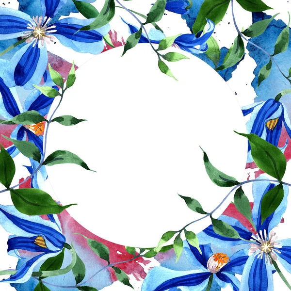 Blue Durandii Clematis Flor Botánica Floral Marco Borde Ornamento Square — Foto de Stock