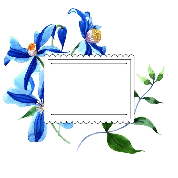 Blauwe Durandii Clematis Floral Botanische Bloem Frame Grens Ornament Vierkant — Stockfoto