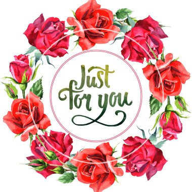 Kırmızı hibrid yükseldi. Botanik çiçek. Çerçeve kenarlığı süsleme Meydanı. Arka plan, doku, sarıcı desen, çerçeve veya kenarlık için Aquarelle kır çiçeği.