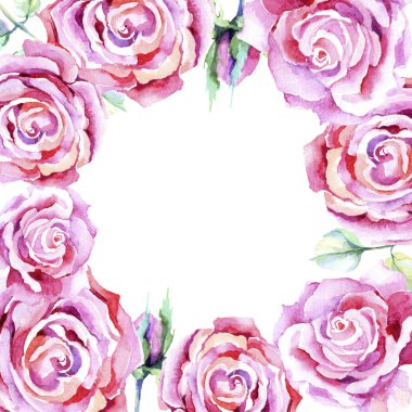 Narin pembe gül. Botanik çiçek. Çerçeve kenarlığı süsleme Meydanı. Arka plan, doku, sarıcı desen, çerçeve veya kenarlık için Aquarelle kır çiçeği.