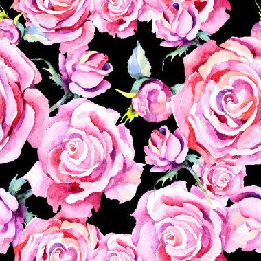 Narin pembe gül. Botanik çiçek. Sorunsuz arka plan deseni. Kumaş duvar kağıdı yazdırma doku. Arka plan, doku, sarıcı desen, çerçeve veya kenarlık için Aquarelle kır çiçeği.