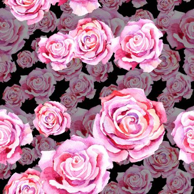 Narin pembe gül. Botanik çiçek. Sorunsuz arka plan deseni. Kumaş duvar kağıdı yazdırma doku. Arka plan, doku, sarıcı desen, çerçeve veya kenarlık için Aquarelle kır çiçeği.