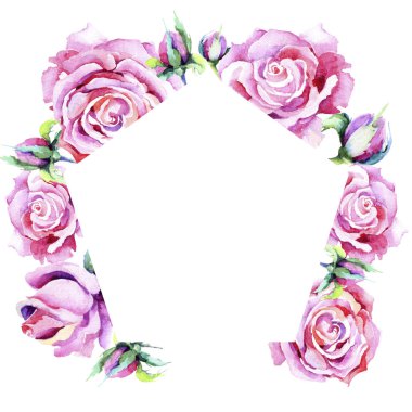 Narin pembe gül. Botanik çiçek. Çerçeve kenarlığı süsleme Meydanı. Arka plan, doku, sarıcı desen, çerçeve veya kenarlık için Aquarelle kır çiçeği.