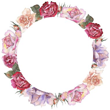 Renkli gül. Botanik çiçek. Çerçeve kenarlığı süsleme Meydanı. Arka plan, doku, sarıcı desen, çerçeve veya kenarlık için Aquarelle kır çiçeği.