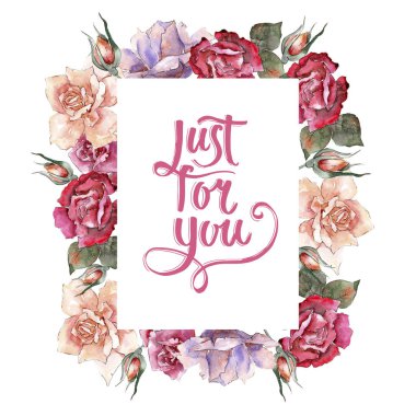 Renkli gül. Botanik çiçek. Çerçeve kenarlığı süsleme Meydanı. Arka plan, doku, sarıcı desen, çerçeve veya kenarlık için Aquarelle kır çiçeği.