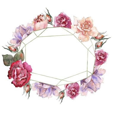 Renkli gül. Botanik çiçek. Çerçeve kenarlığı süsleme Meydanı. Arka plan, doku, sarıcı desen, çerçeve veya kenarlık için Aquarelle kır çiçeği.