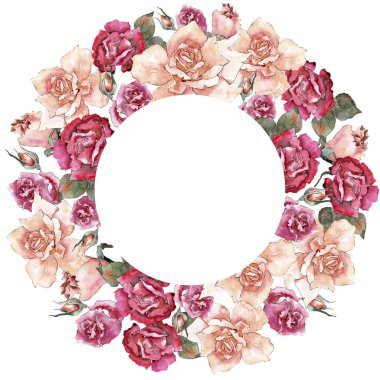 Renkli gül. Botanik çiçek. Çerçeve kenarlığı süsleme Meydanı. Arka plan, doku, sarıcı desen, çerçeve veya kenarlık için Aquarelle kır çiçeği.
