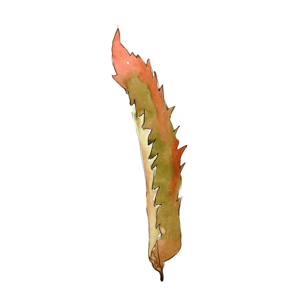 Sweet Chestnut Leaves Watercolor Style Isolated Aquarelle Leaf Background Texture — Stock Photo, Image