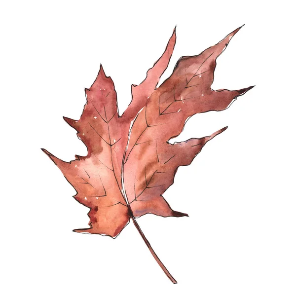 Maple Leaves Watercolor Style Isolated Aquarelle Leaf Background Texture Wrapper — Stock Photo, Image