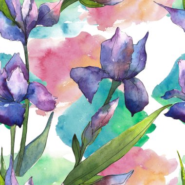 Renkli iris. Botanik çiçek. Sorunsuz arka plan deseni. Kumaş duvar kağıdı yazdırma doku. Arka plan, doku, sarıcı desen, çerçeve veya kenarlık için Aquarelle kır çiçeği.