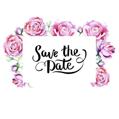 Narin pembe gül. Botanik çiçek. Çerçeve kenarlığı süsleme Meydanı. Arka plan, doku, sarıcı desen, çerçeve veya kenarlık için Aquarelle kır çiçeği.