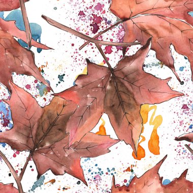 Akçaağaç suluboya tarzında bırakır. Sorunsuz arka plan deseni. Kumaş duvar kağıdı yazdırma doku. Aquarelle yaprak için arka plan, doku, sarıcı desen, çerçeve veya kenarlık.