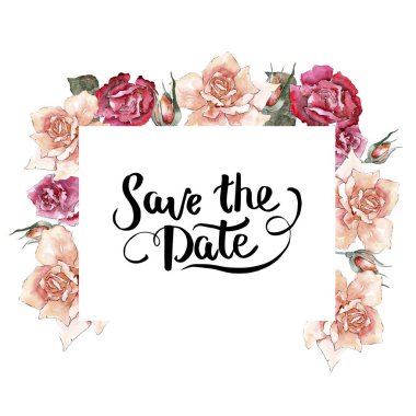 Renkli gül. Botanik çiçek. Çerçeve kenarlığı süsleme Meydanı. Arka plan, doku, sarıcı desen, çerçeve veya kenarlık için Aquarelle kır çiçeği.