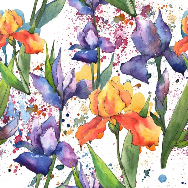 Bunte Schwertlilien Blütenbotanische Blume Nahtlose Hintergrundmuster Textur Für Stofftapeten Aquarell — Stockfoto