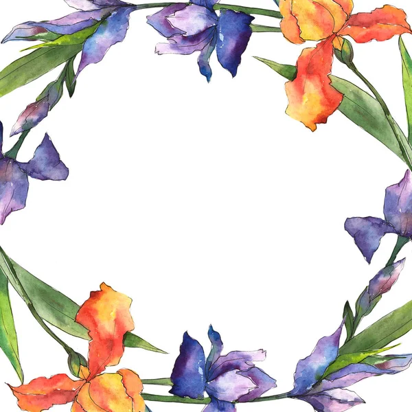 Bunte Schwertlilien Blütenbotanische Blume Rahmen Bordüre Ornament Quadrat Aquarell Wildblume — Stockfoto