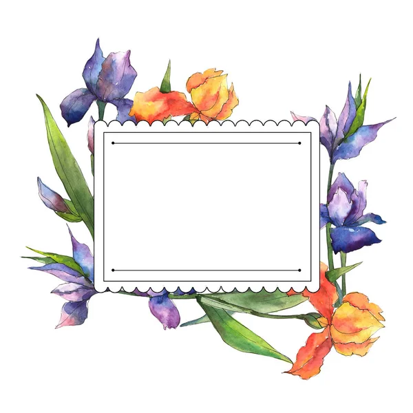 Bunte Schwertlilien Blütenbotanische Blume Rahmen Bordüre Ornament Quadrat Aquarell Wildblume — Stockfoto