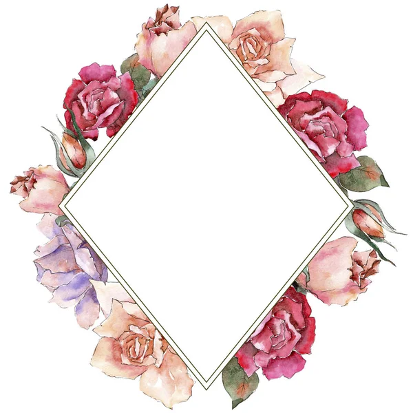 Rose Colorate Fiore Botanico Floreale Quadrato Ornamento Bordo Cornice Fiordaliso — Foto Stock