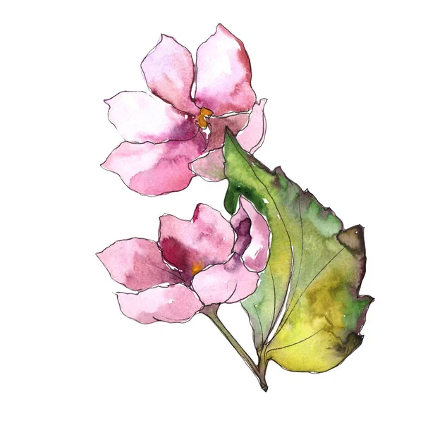 ピンクの花の花 花植物の花 野生春葉のワイルドフラワーが分離されました テクスチャ ラッパー パターン フレームや境界線の Aquarelle ワイルドフラワー — ストック写真