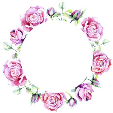 Narin pembe gül. Botanik çiçek. Çerçeve kenarlığı süsleme Meydanı. Arka plan, doku, sarıcı desen, çerçeve veya kenarlık için Aquarelle kır çiçeği.