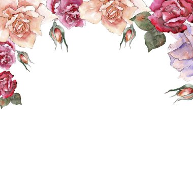 Renkli gül. Botanik çiçek. Çerçeve kenarlığı süsleme Meydanı. Arka plan, doku, sarıcı desen, çerçeve veya kenarlık için Aquarelle kır çiçeği.