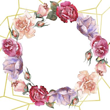 Renkli gül. Botanik çiçek. Çerçeve kenarlığı süsleme Meydanı. Arka plan, doku, sarıcı desen, çerçeve veya kenarlık için Aquarelle kır çiçeği.