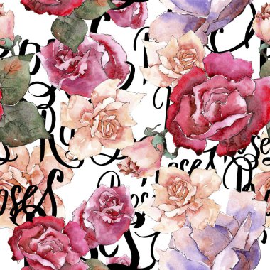 Renkli gül. Botanik çiçek. Sorunsuz arka plan deseni. Kumaş duvar kağıdı yazdırma doku. Arka plan, doku, sarıcı desen, çerçeve veya kenarlık için Aquarelle kır çiçeği.