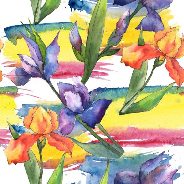Renkli iris. Botanik çiçek. Sorunsuz arka plan deseni. Kumaş duvar kağıdı yazdırma doku. Arka plan, doku, sarıcı desen, çerçeve veya kenarlık için Aquarelle kır çiçeği.