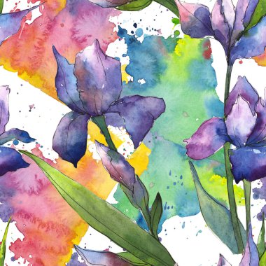 Renkli iris. Botanik çiçek. Sorunsuz arka plan deseni. Kumaş duvar kağıdı yazdırma doku. Arka plan, doku, sarıcı desen, çerçeve veya kenarlık için Aquarelle kır çiçeği.