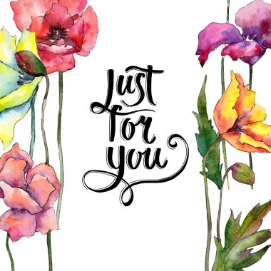 Renkli poppy. Botanik çiçek. Çerçeve kenarlığı süsleme Meydanı. Arka plan, doku, sarıcı desen, çerçeve veya kenarlık için Aquarelle kır çiçeği.