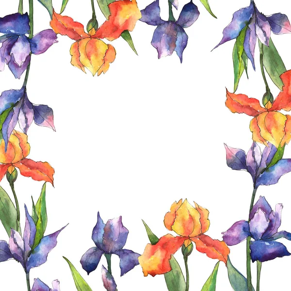 色とりどりの花しょうぶ 花植物の花 フレーム枠飾りスクエア テクスチャ ラッパー パターン フレームや境界線の Aquarelle ワイルドフラワー — ストック写真