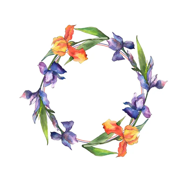 Bunte Schwertlilien Blütenbotanische Blume Rahmen Bordüre Ornament Quadrat Aquarell Wildblume — Stockfoto
