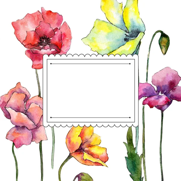 Kleurrijke Poppy Floral Botanische Bloem Frame Grens Ornament Vierkant Aquarelle — Stockfoto