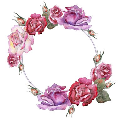 Renkli gül. Botanik çiçek. Çerçeve kenarlığı süsleme Meydanı.