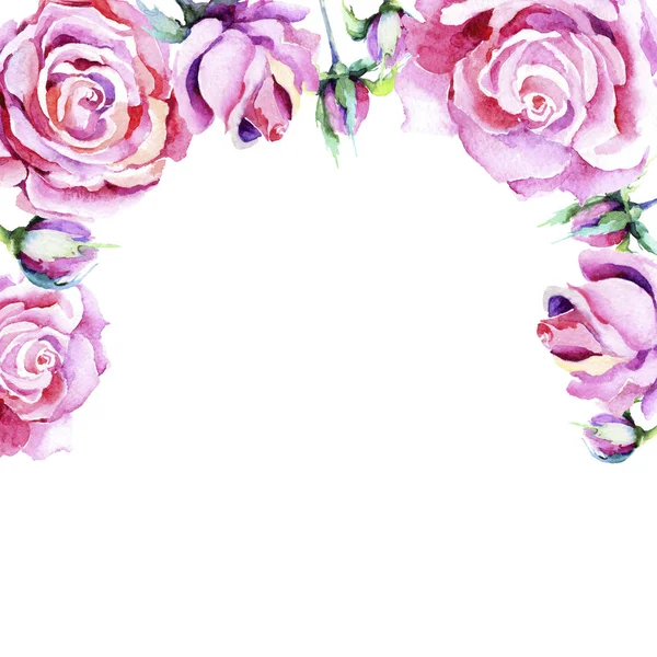 细腻的粉红色玫瑰。花卉植物花。框边框装饰广场. — 图库照片