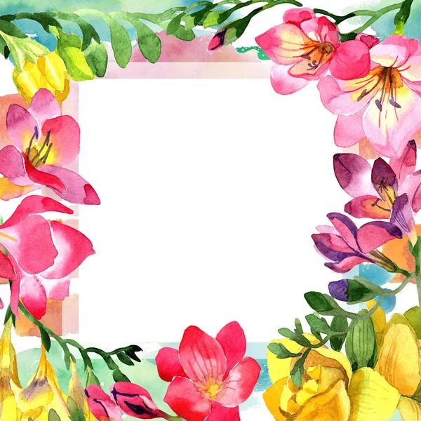 Kleurrijke fresia's. Floral botanische bloem. Frame grens ornament vierkant. — Stockfoto