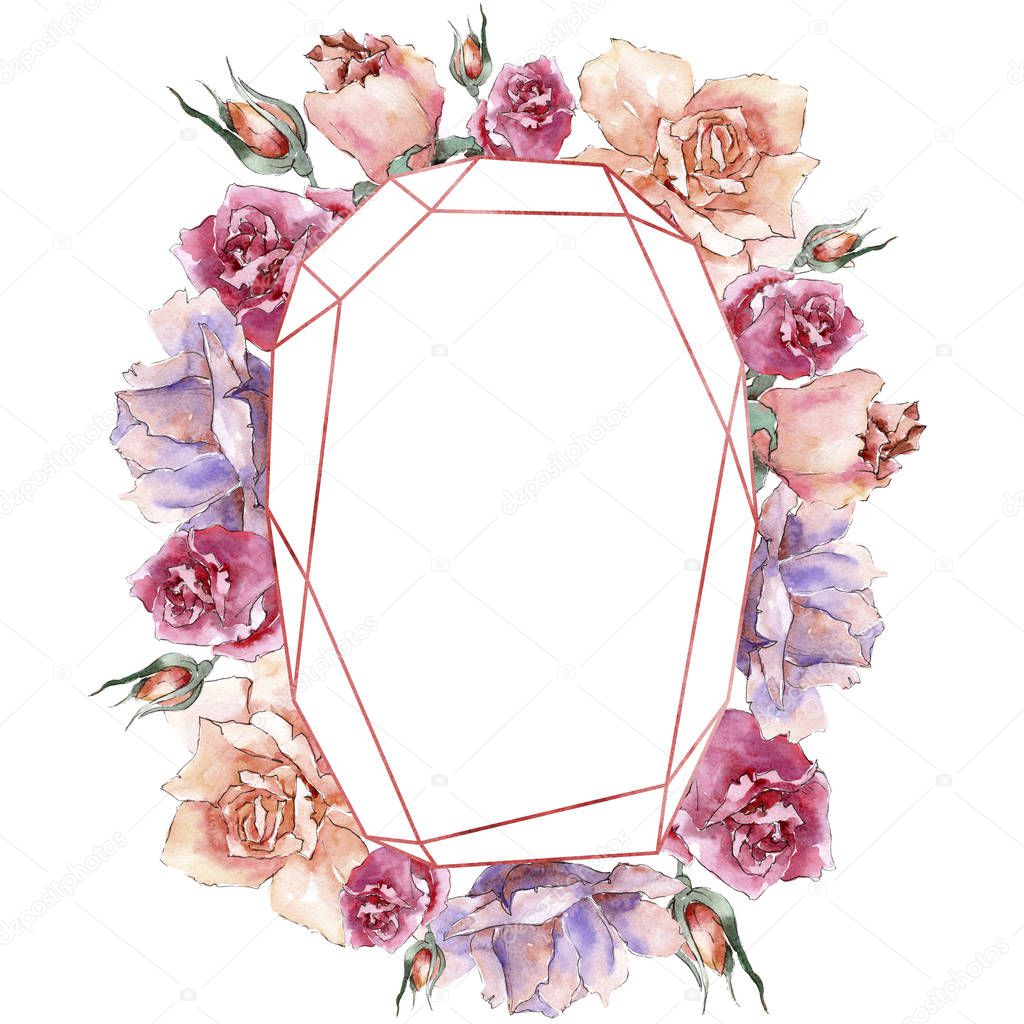 Colorful roses. Floral botanical flower. Frame border ornament square.