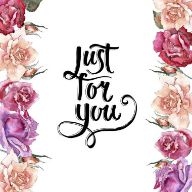 Renkli gül. Botanik çiçek. Çerçeve kenarlığı süsleme Meydanı. Arka plan, doku, sarıcı desen, çerçeve veya kenarlık için Aquarelle kır çiçeği.