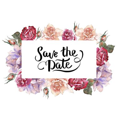 Renkli gül. Botanik çiçek. Çerçeve kenarlığı süsleme Meydanı. Arka plan, doku, sarıcı desen, çerçeve veya kenarlık için Aquarelle kır çiçeği.