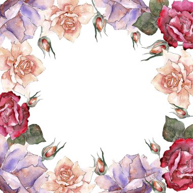 Renkli gül. Botanik çiçek. Çerçeve kenarlığı süsleme Meydanı. Arka plan, doku, sarıcı desen, çerçeve veya kenarlık için Aquarelle kır çiçeği.