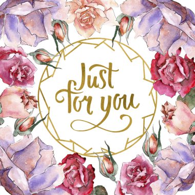 Renkli gül. Botanik çiçek. Çerçeve kenarlığı süsleme Meydanı. Arka plan, doku, sarıcı desen, çerçeve veya kenarlık için Aquarelle kır çiçeği.