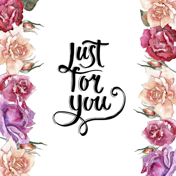 Renkli gül. Botanik çiçek. Çerçeve kenarlığı süsleme Meydanı. Arka plan, doku, sarıcı desen, çerçeve veya kenarlık için Aquarelle kır çiçeği.