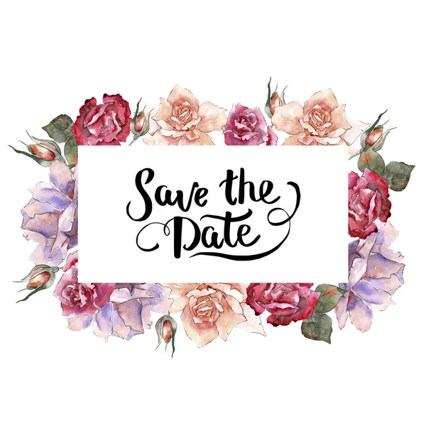 Renkli gül. Botanik çiçek. Çerçeve kenarlığı süsleme Meydanı. Arka plan, doku, sarıcı desen, çerçeve veya kenarlık için Aquarelle kır çiçeği.