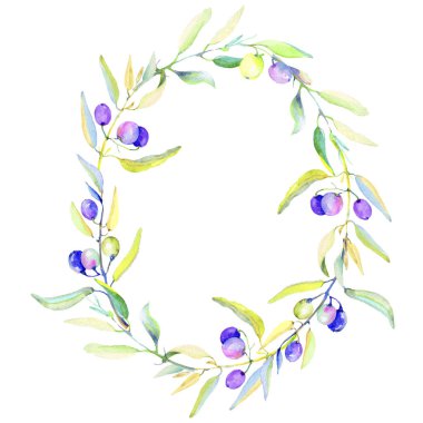 Zeytin dalı suluboya tarzında. Çerçeve kenarlığı süsleme Meydanı. Bitki tam adı: bir zeytin ağacı dalı. Arka plan, doku, sarıcı desen, çerçeve veya kenarlık için Aquarelle zeytin ağacı.